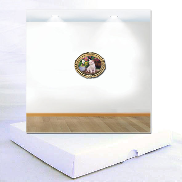 Modern Art Boxed Card White Kitten