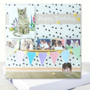 Cat Lovers Boxed Birthday Card : Unique Luxury Card