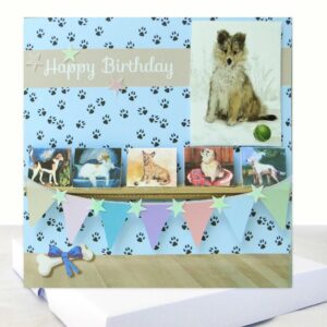 Dog Lovers Boxed Birthday Card