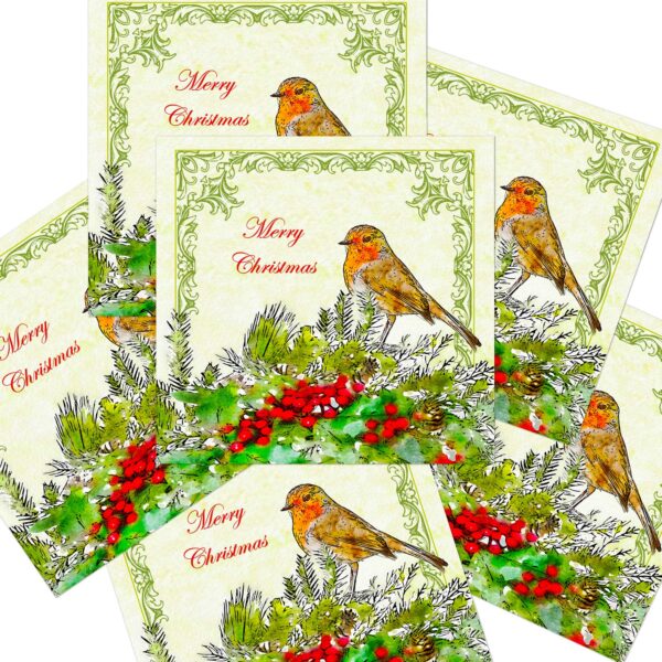 Traditional Robin Christmas Cards