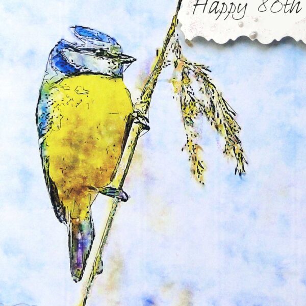 80th Happy Birthday Card : Handmade : Blue Tit : Bird Lovers