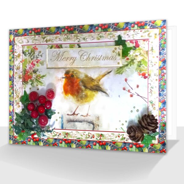 Traditional Robin Christmas Card : Luxury Boxed A5 Embellished