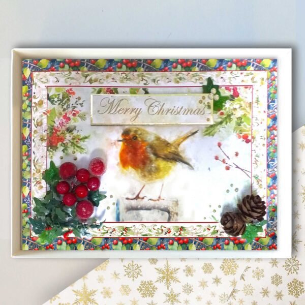 Traditional Robin Christmas Card : Luxury Boxed A5 Embellished