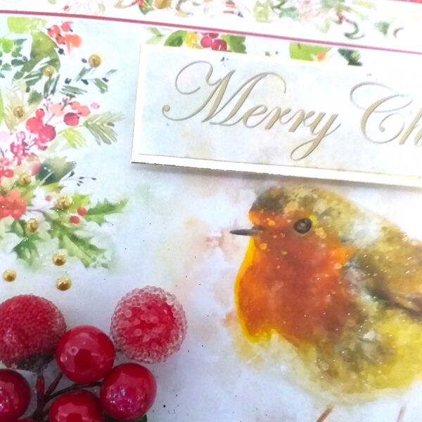 Traditional Robin Christmas Card : Luxury Boxed A5 Embellished