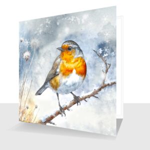 Traditional Robin Christmas Card