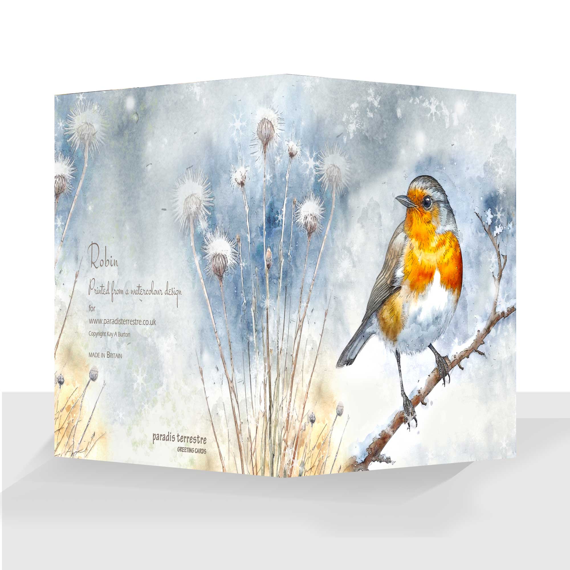 Traditional Robin Christmas Card