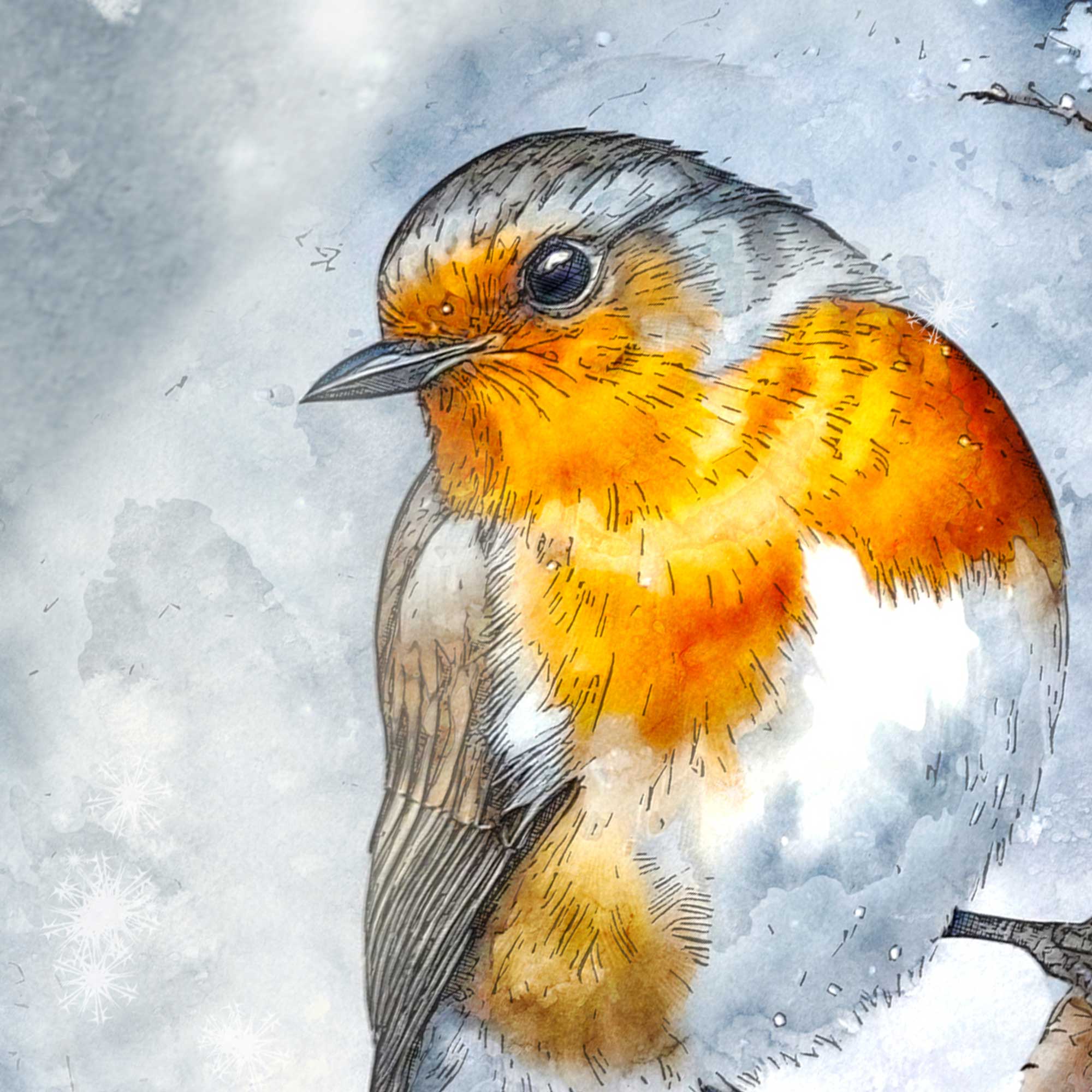 Traditional Robin Christmas Card