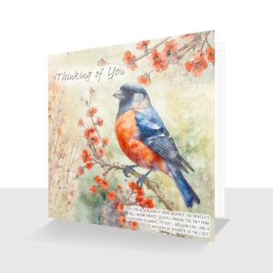 Thinking of You Card Bullfinch Design
