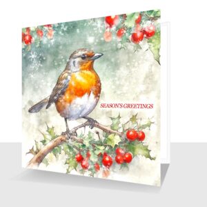 Seasons Greetings Robin Christmas Card