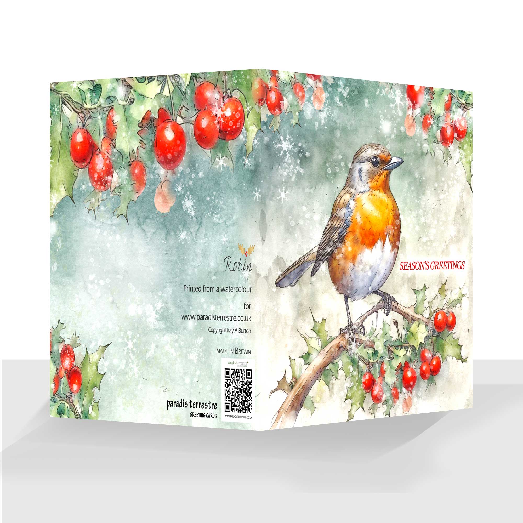 Seasons Greetings Robin Christmas Card