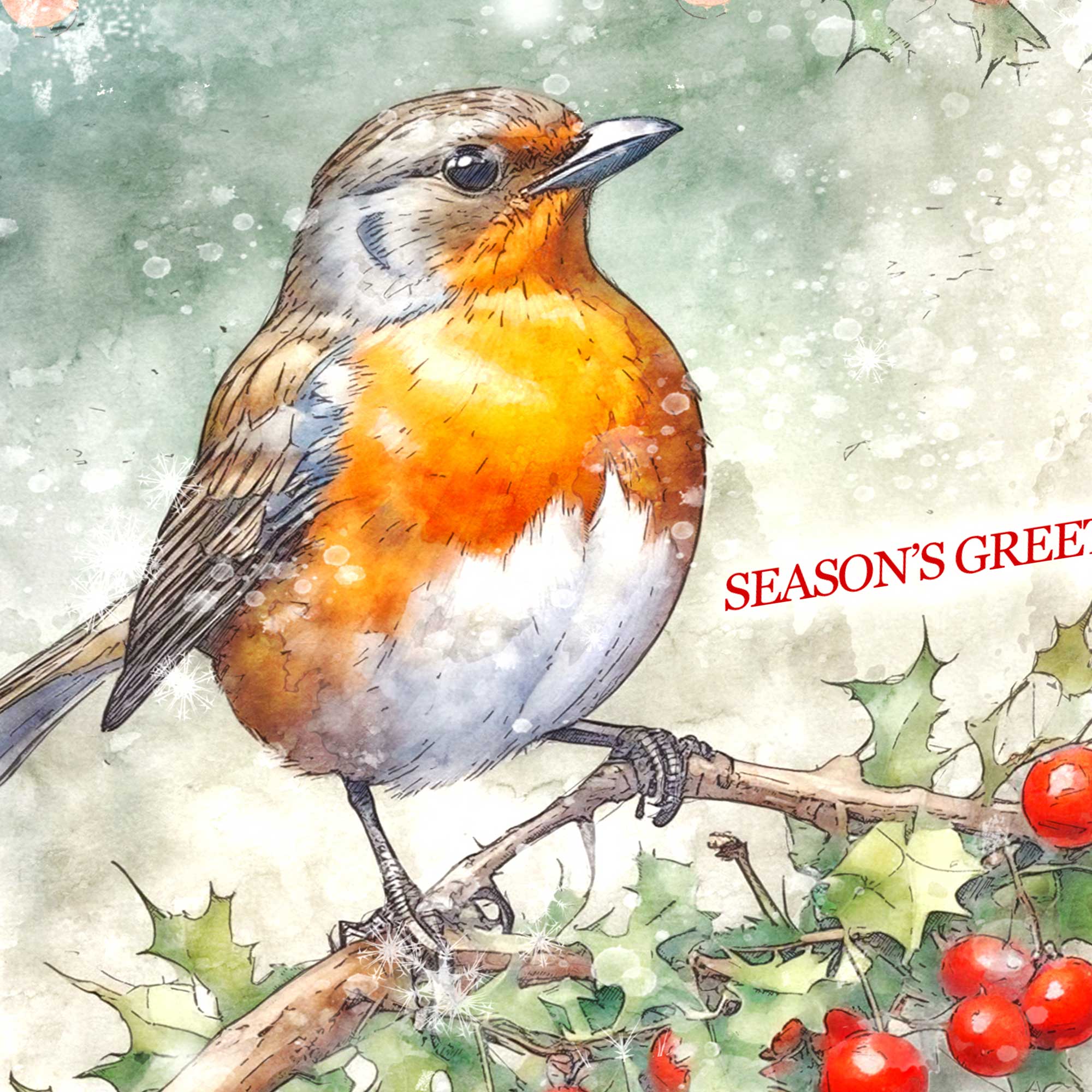 Seasons Greetings Robin Christmas Card